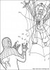 spiderman numeri